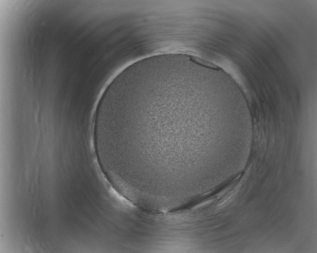 X0000070341102200606161244