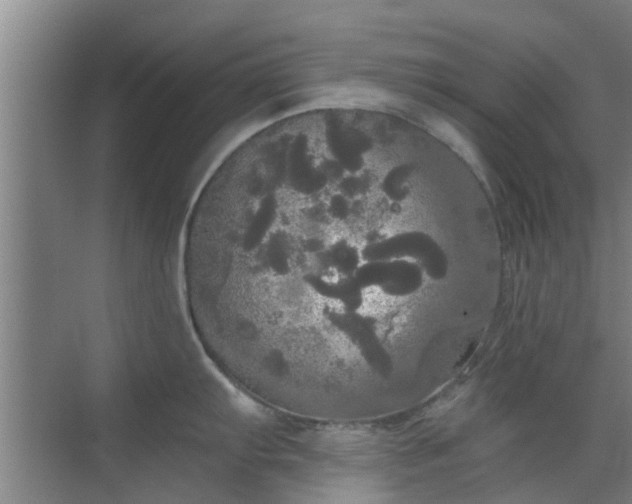 X0000070341103200606161244