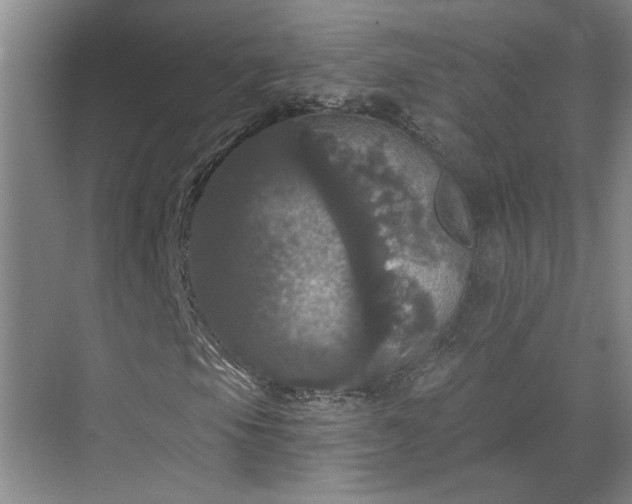 X0000070341105200606161243