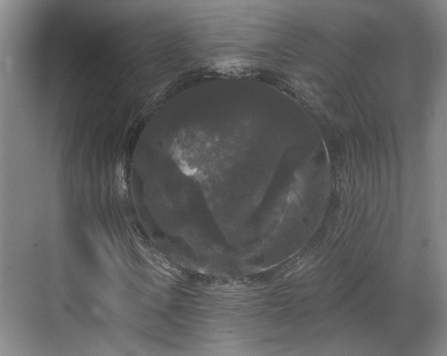 X0000070341106200606161243