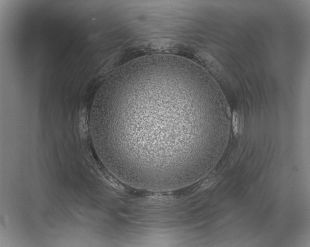 X0000070341107200606161243