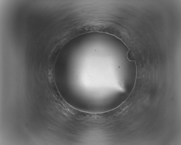 X0000070341109200606161243