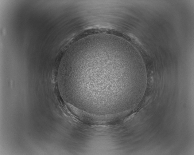 X0000070341110200606161243