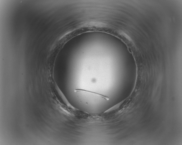 X0000070341112200606161243