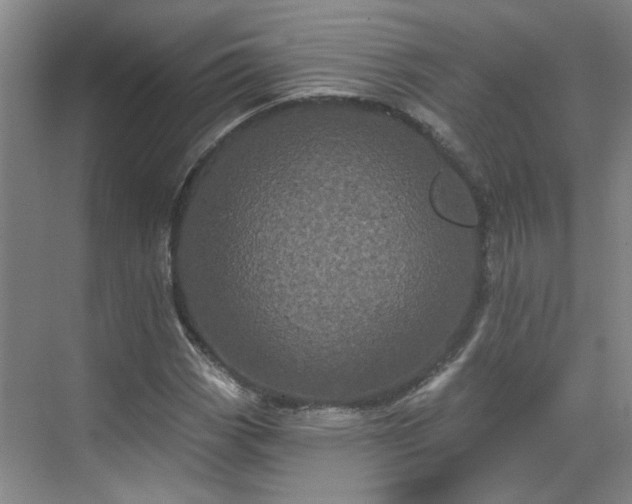 X0000070341113200606161243