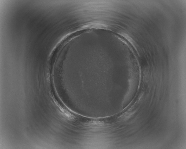 X0000070341115200606161243