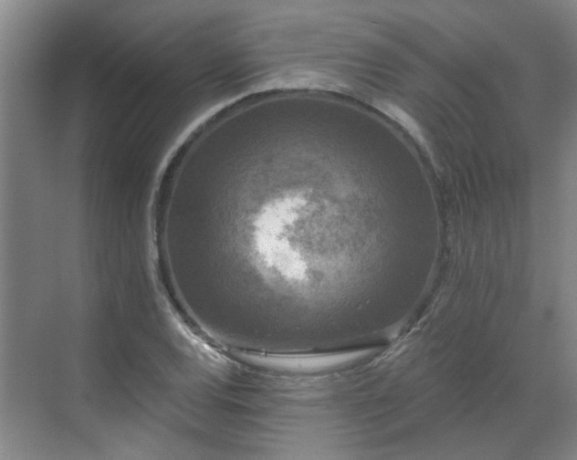 X0000070341120200606161243