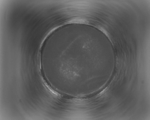 X0000070341123200606161243