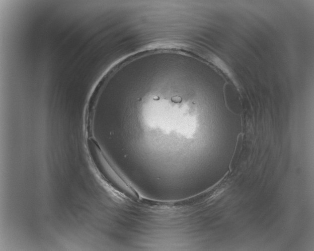 X0000070341124200606161243