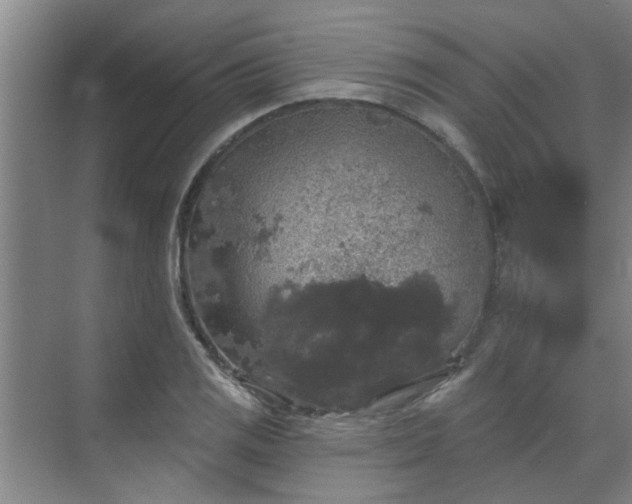 X0000070341125200606161243