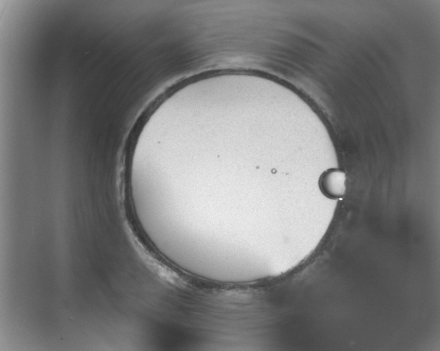 X0000070341126200606161243