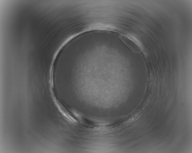 X0000070341128200606161243