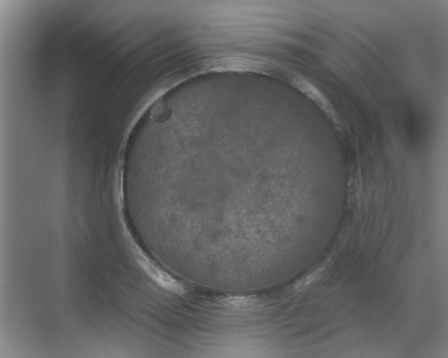 X0000070341130200606161243