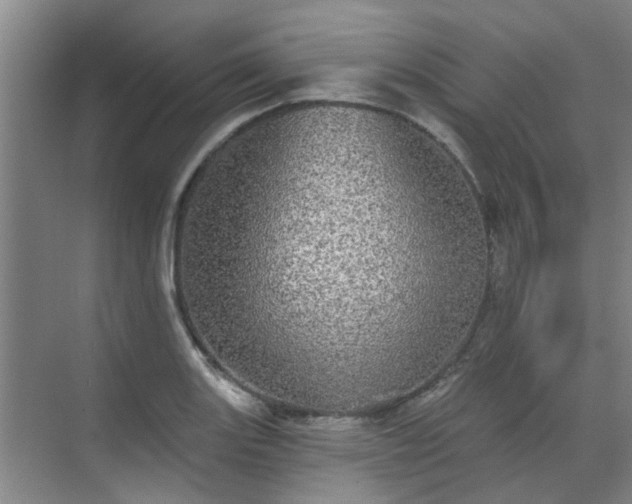 X0000070341131200606161244