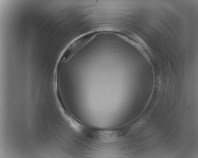 X0000070341132200606161244