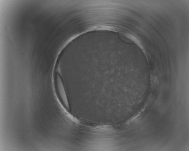 X0000070341133200606161244