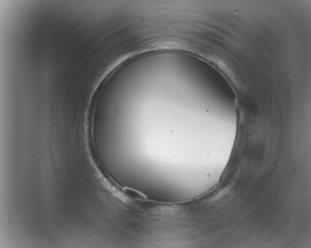 X0000070341134200606161244