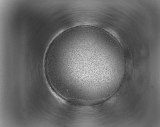 X0000070341135200606161244