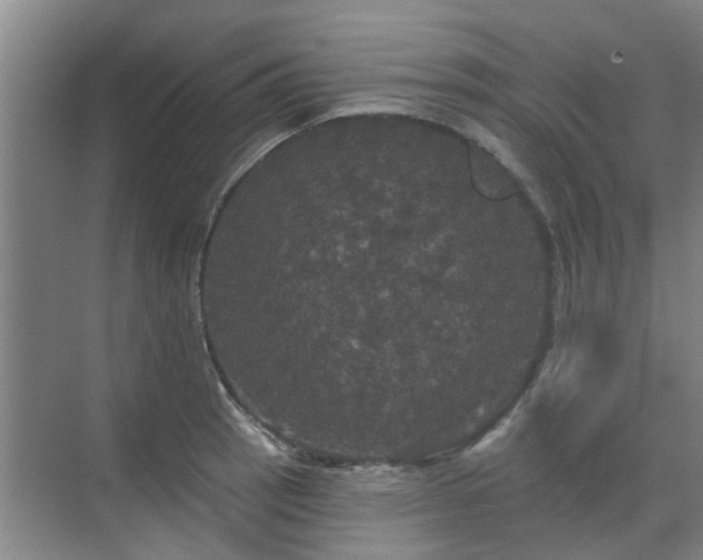 X0000070341137200606161244