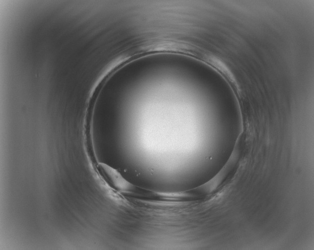 X0000070341138200606161244