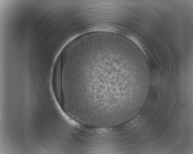 X0000070341139200606161244