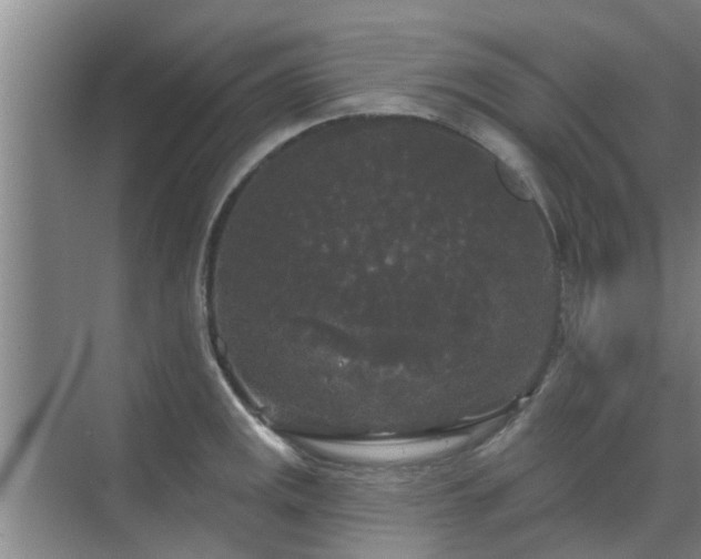 X0000070341141200606161244