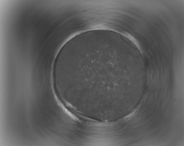 X0000070341142200606161244