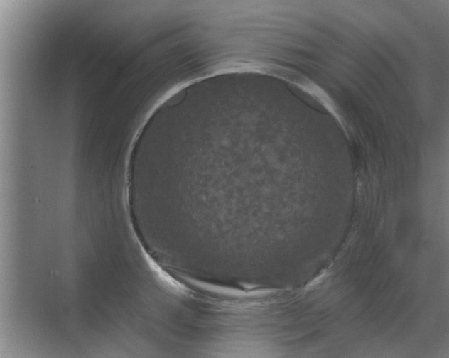 X0000070341143200606161244