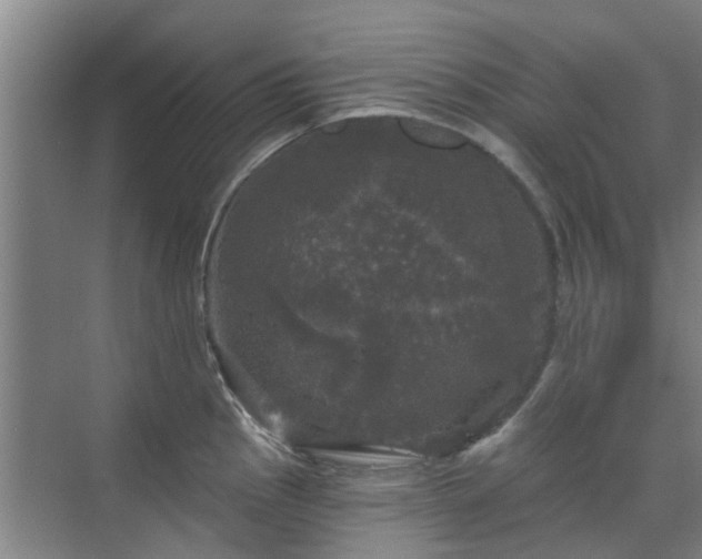 X0000070341145200606161244