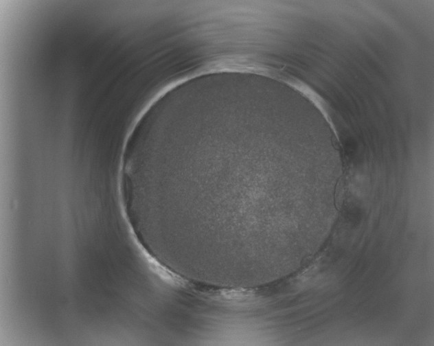 X0000070341147200606161244