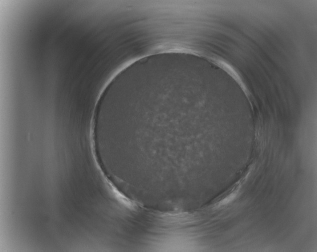 X0000070341149200606161244