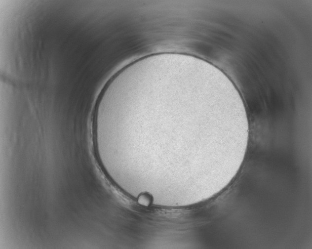 X0000070341150200606161244