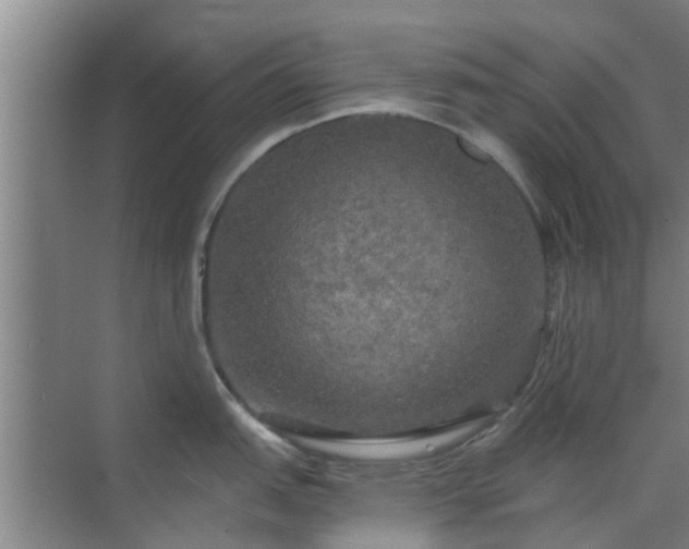 X0000070341151200606161244