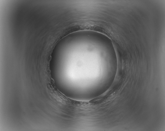 X0000070341153200606161243