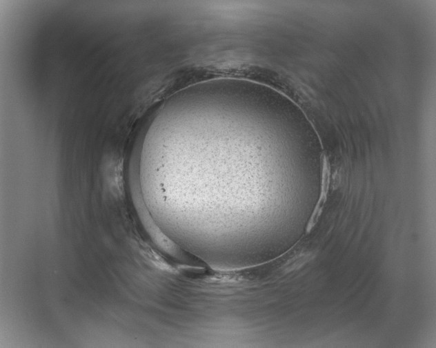 X0000070341156200606161243