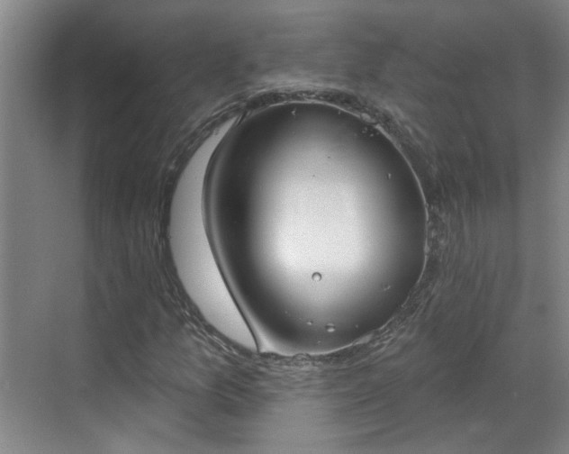 X0000070341157200606161243