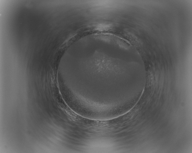 X0000070341158200606161243