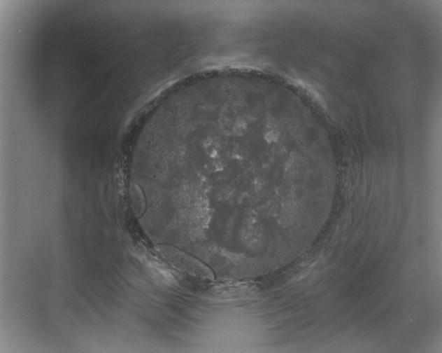 X0000070341159200606161243