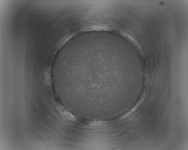 X0000070341162200606161243