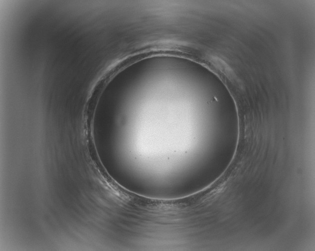 X0000070341164200606161243