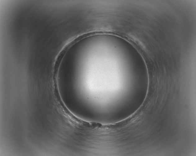 X0000070341168200606161243