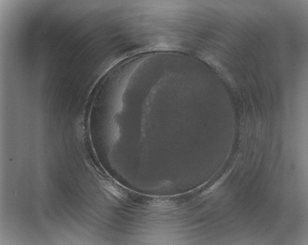 X0000070341170200606161243