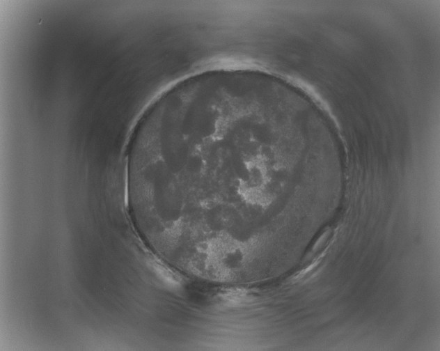 X0000070341175200606161243