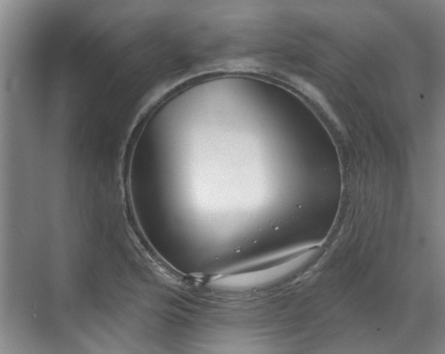 X0000070341176200606161243