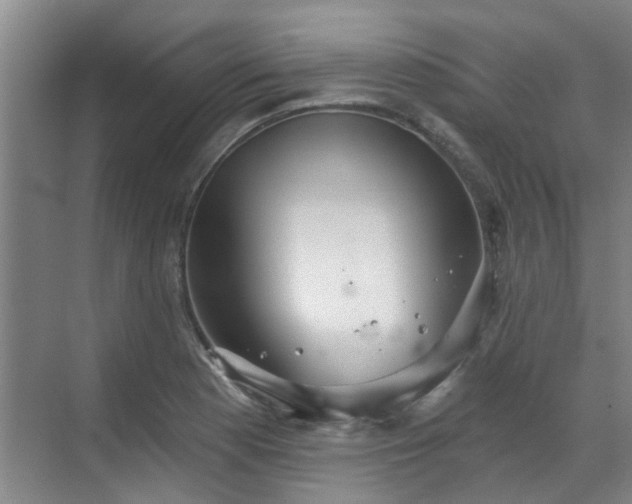 X0000070341177200606161243