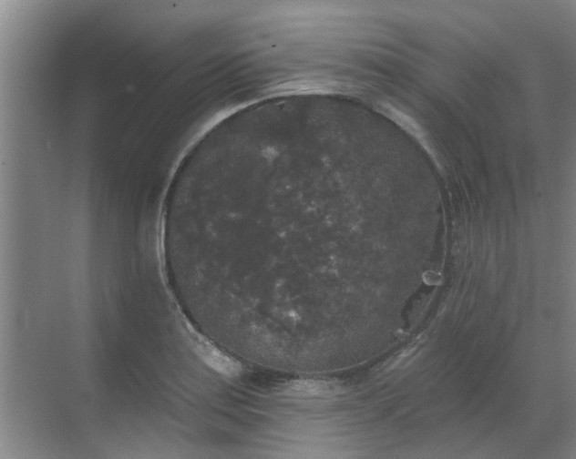 X0000070341179200606161243