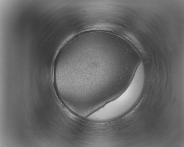 X0000070341180200606161243