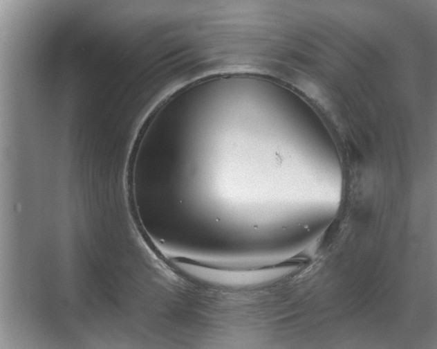 X0000070341181200606161243