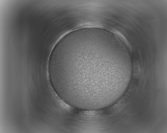 X0000070341182200606161243