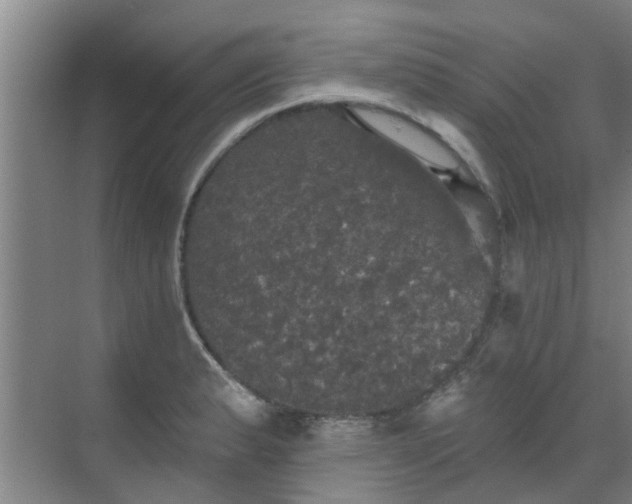 X0000070341183200606161243